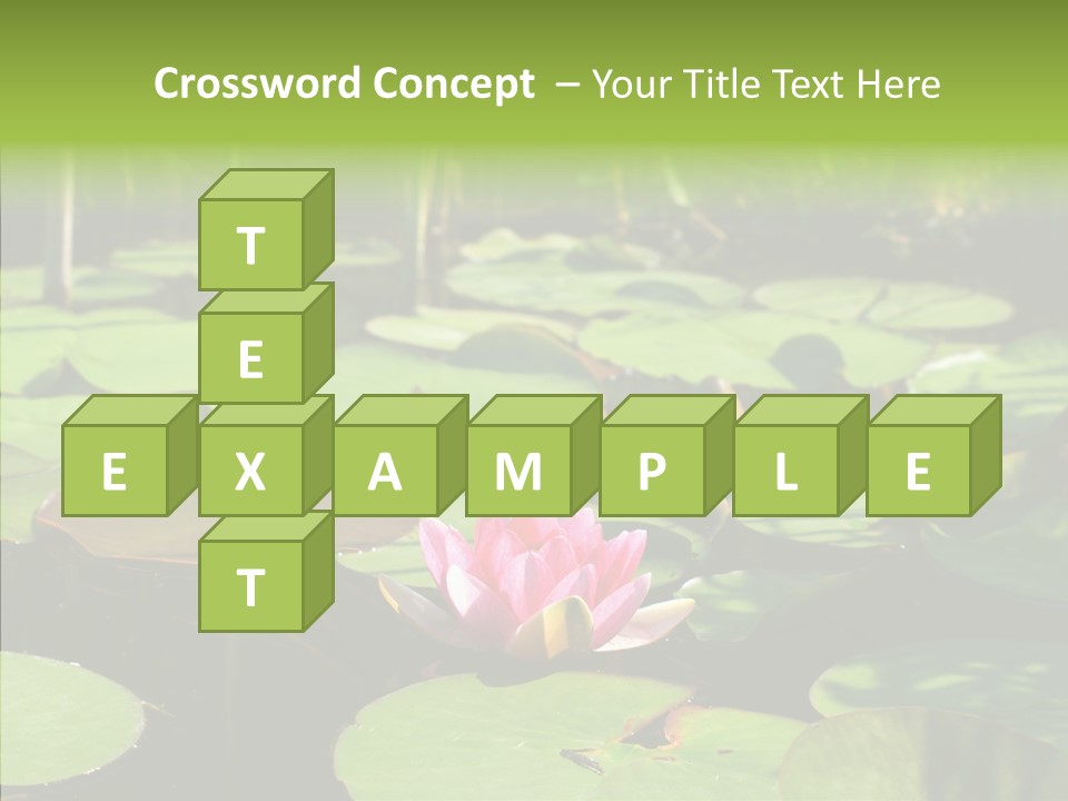 Blossom Floating Lilies PowerPoint Template