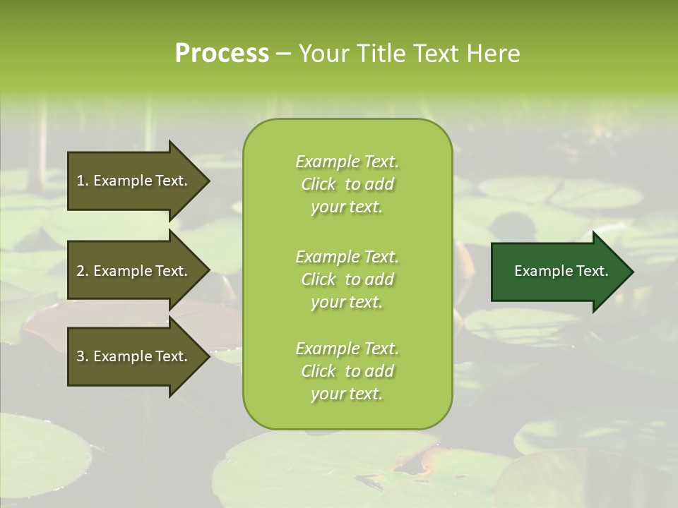 Blossom Floating Lilies PowerPoint Template