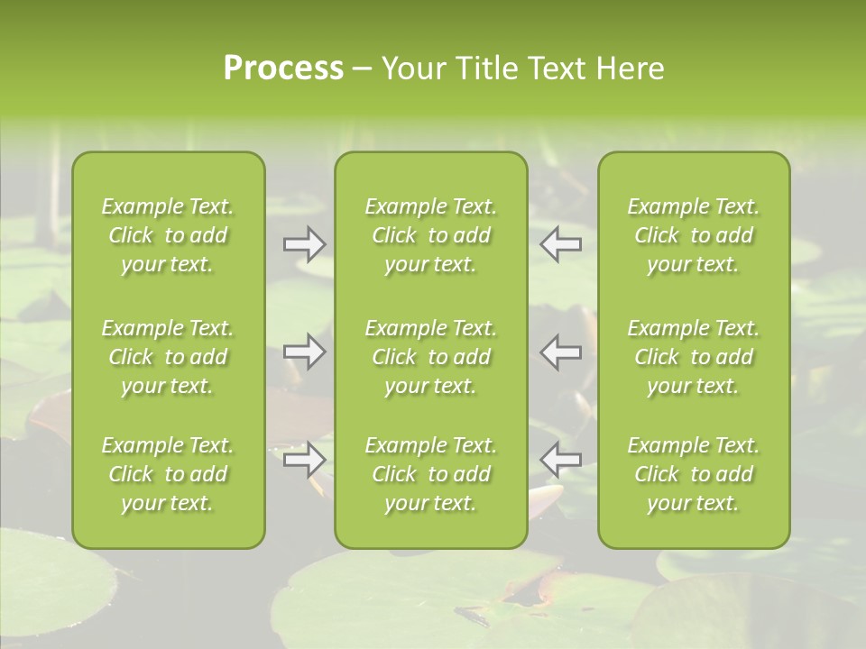 Blossom Floating Lilies PowerPoint Template