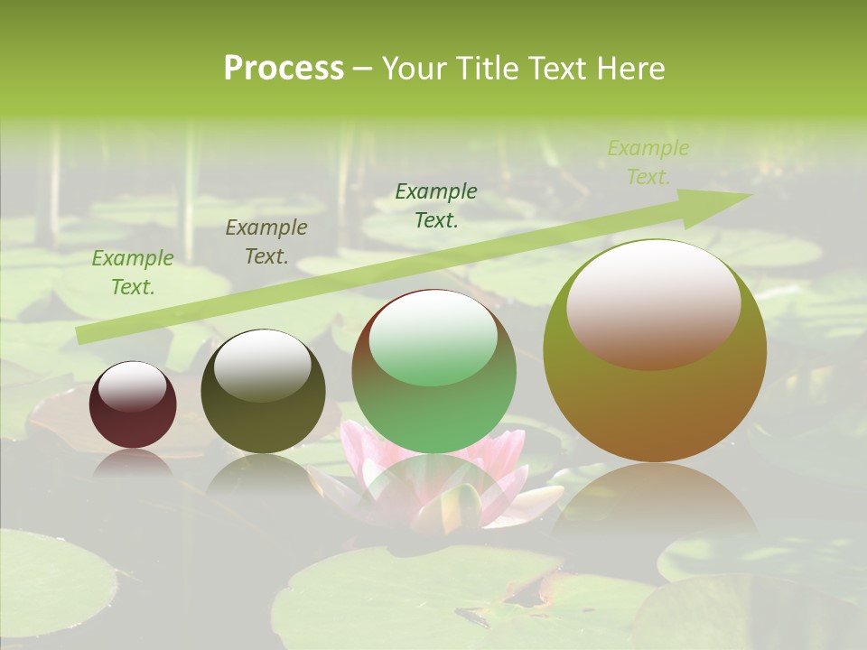 Blossom Floating Lilies PowerPoint Template