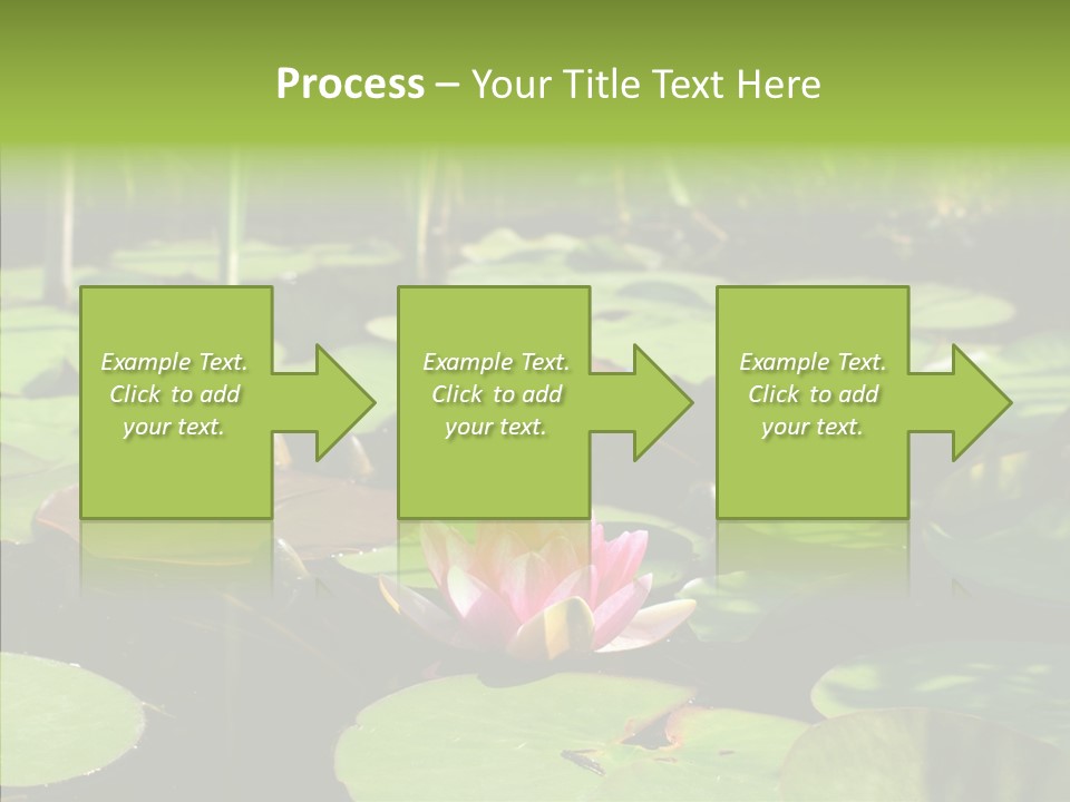 Blossom Floating Lilies PowerPoint Template