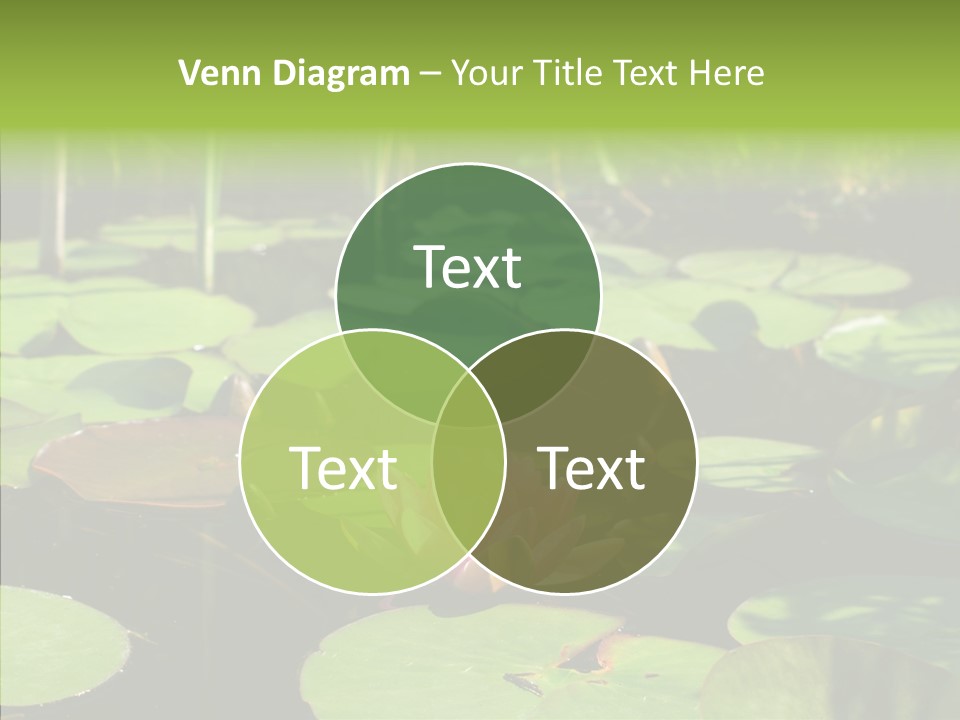 Blossom Floating Lilies PowerPoint Template