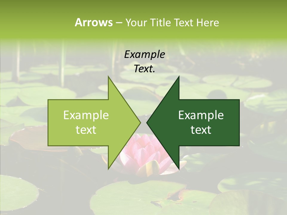 Blossom Floating Lilies PowerPoint Template