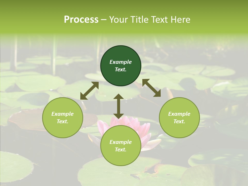 Blossom Floating Lilies PowerPoint Template