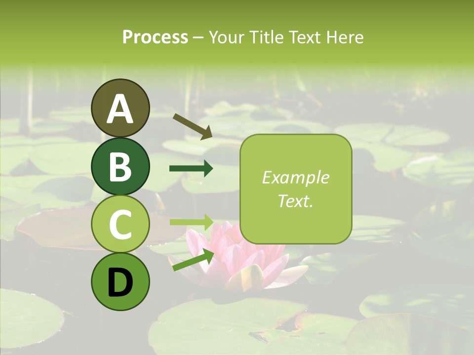 Blossom Floating Lilies PowerPoint Template