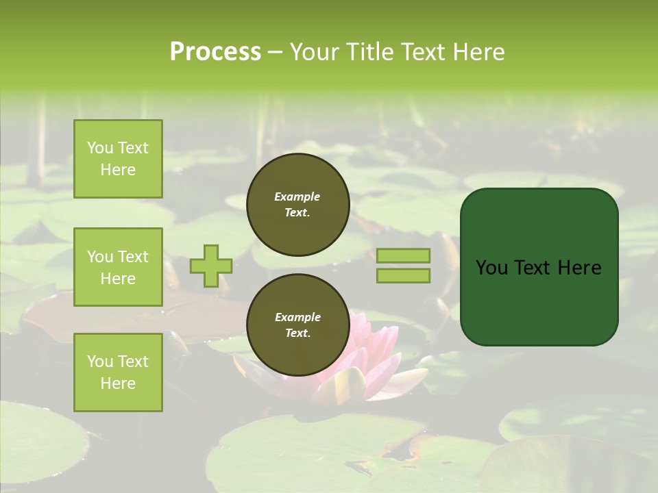 Blossom Floating Lilies PowerPoint Template
