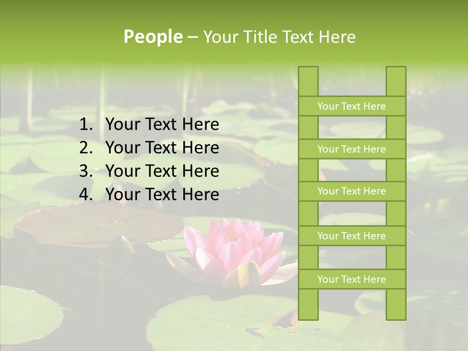 Blossom Floating Lilies PowerPoint Template