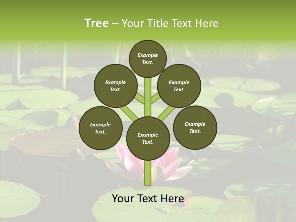 Blossom Floating Lilies PowerPoint Template