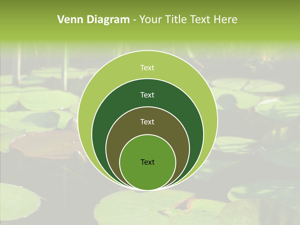 Blossom Floating Lilies PowerPoint Template
