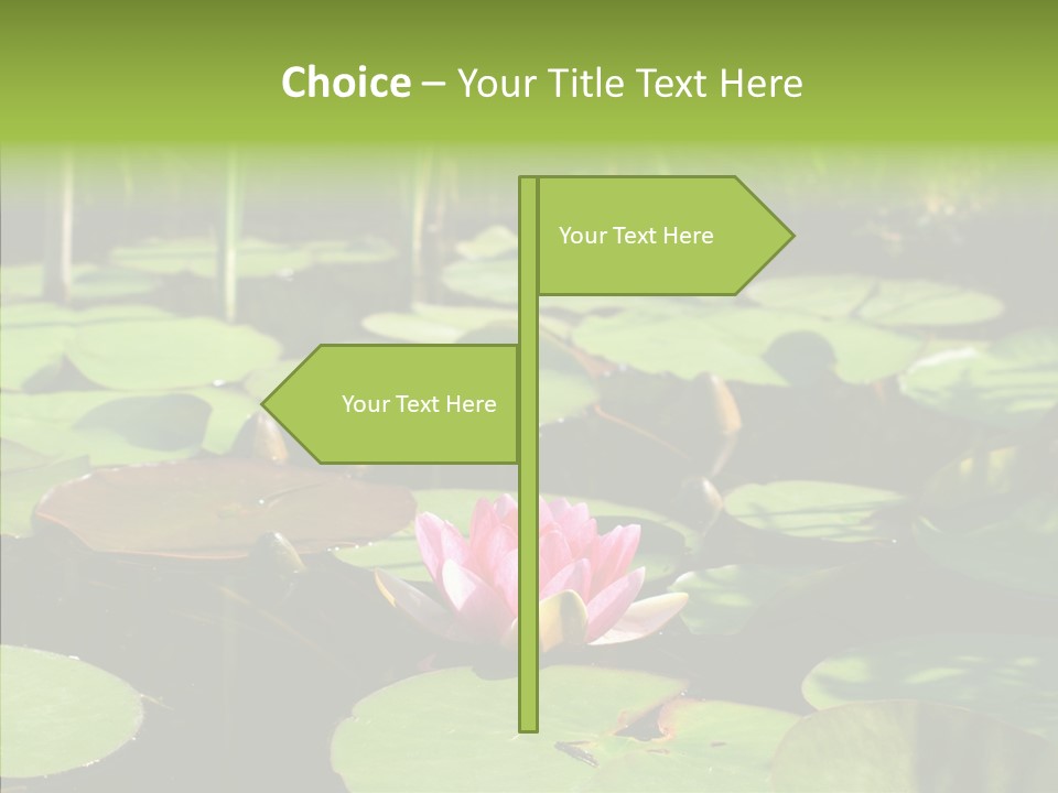Blossom Floating Lilies PowerPoint Template