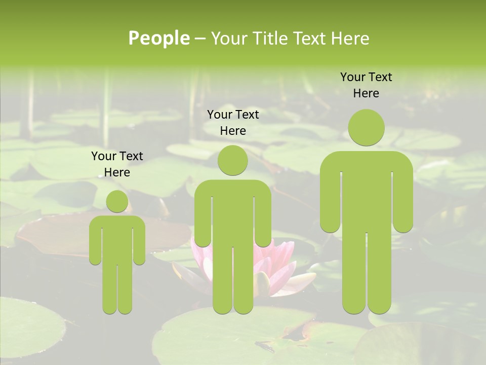 Blossom Floating Lilies PowerPoint Template