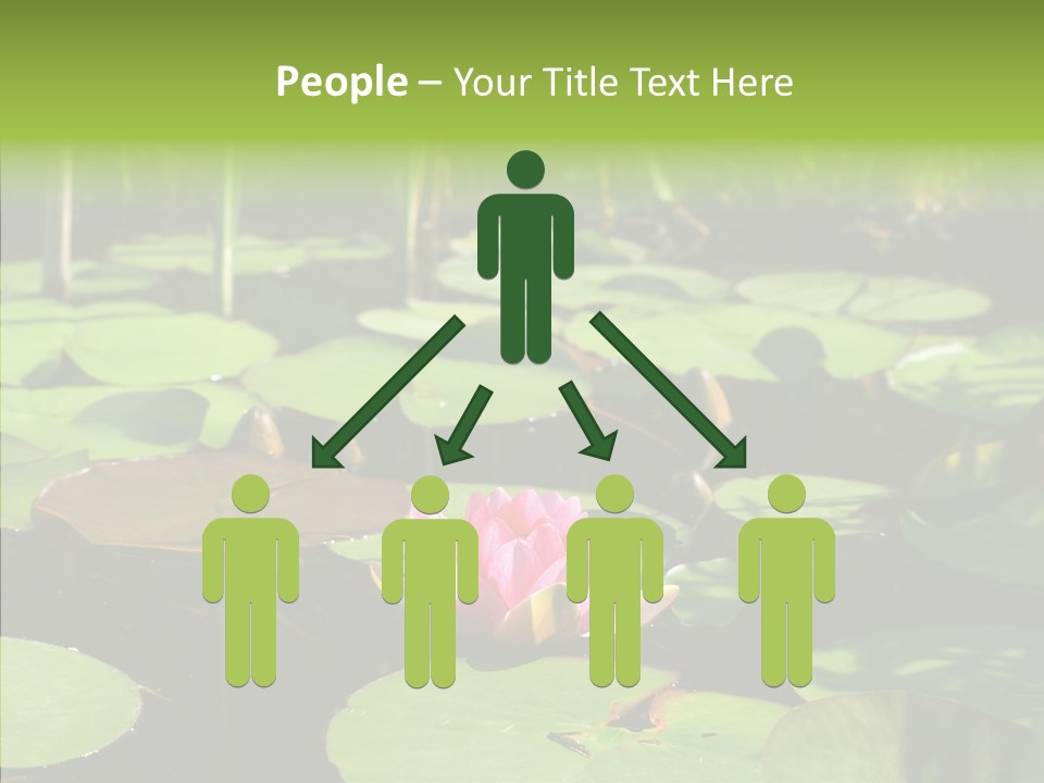 Blossom Floating Lilies PowerPoint Template