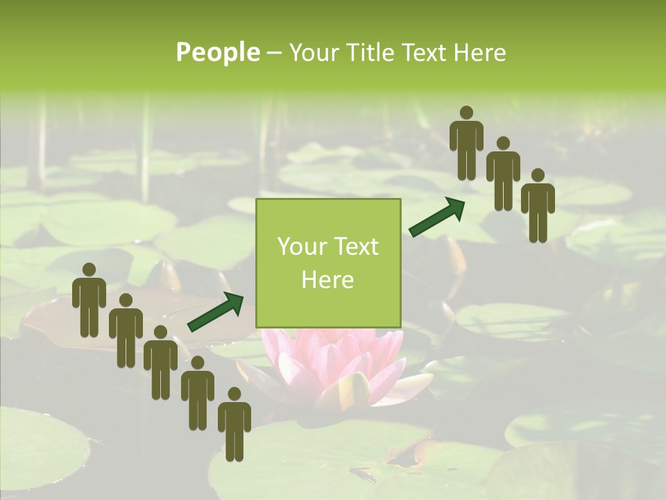 Blossom Floating Lilies PowerPoint Template