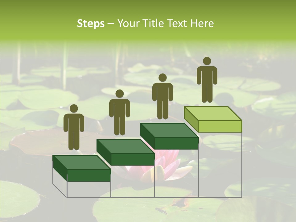 Blossom Floating Lilies PowerPoint Template