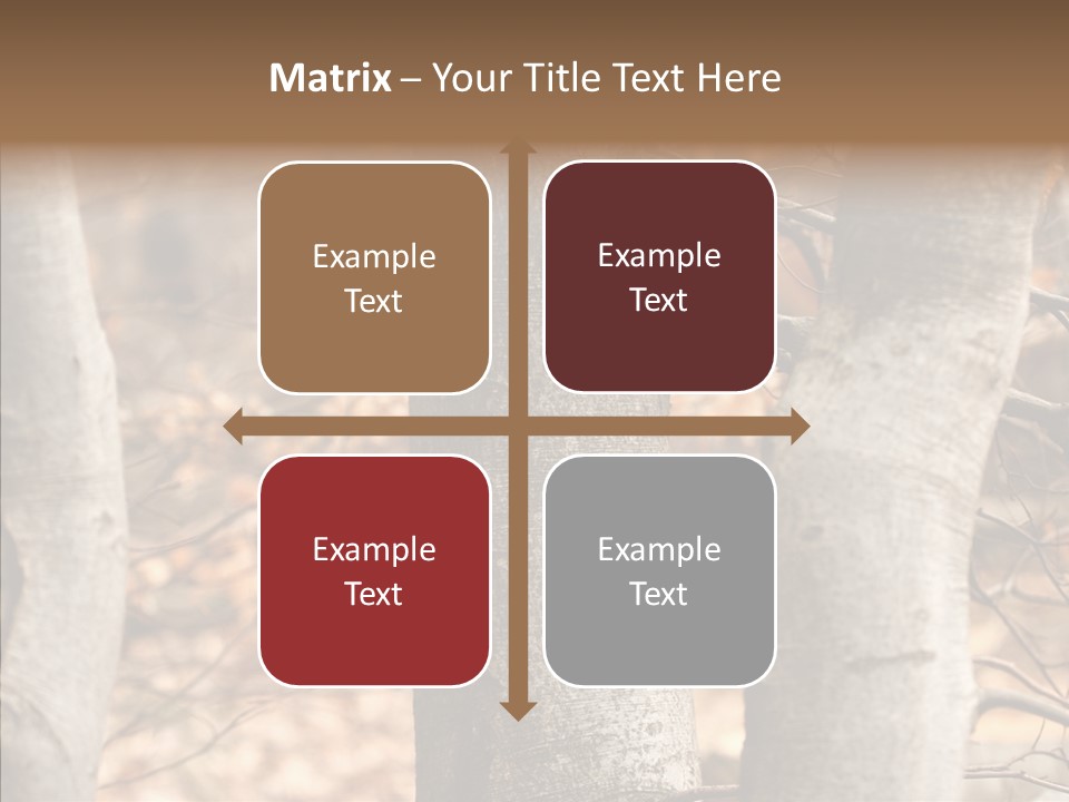 Shape Tree Detail PowerPoint Template