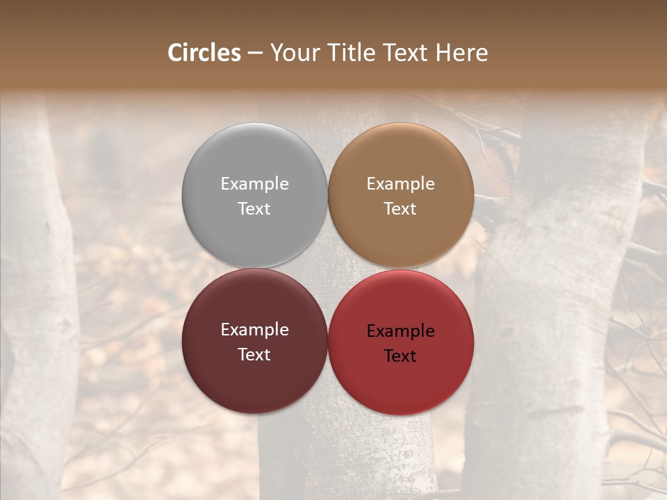 Shape Tree Detail PowerPoint Template