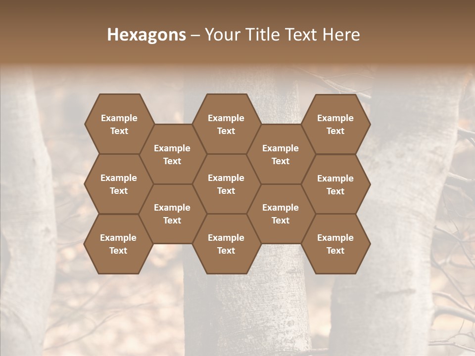 Shape Tree Detail PowerPoint Template