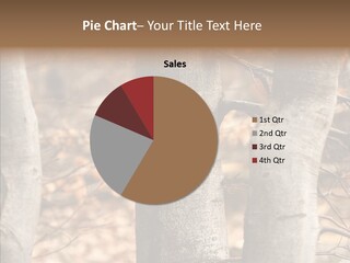 Shape Tree Detail PowerPoint Template