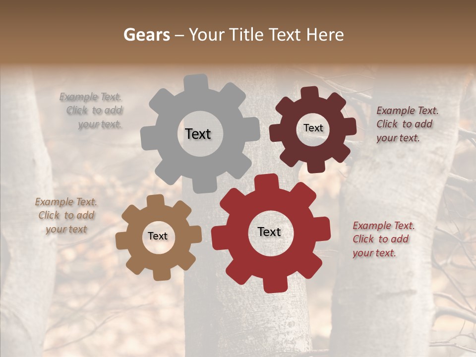 Shape Tree Detail PowerPoint Template