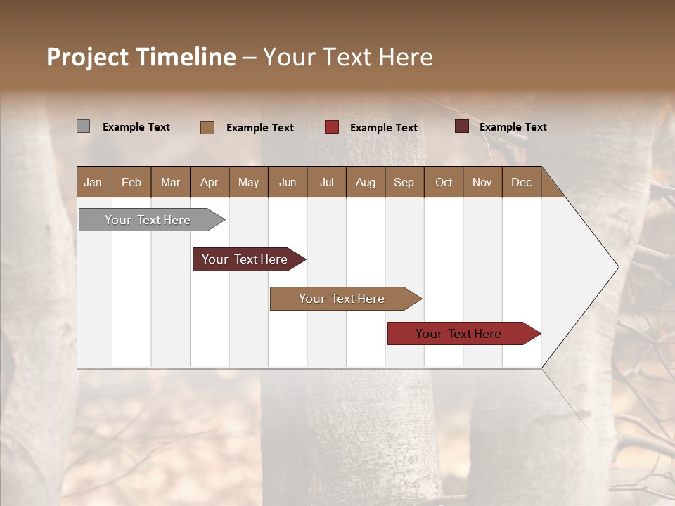Shape Tree Detail PowerPoint Template