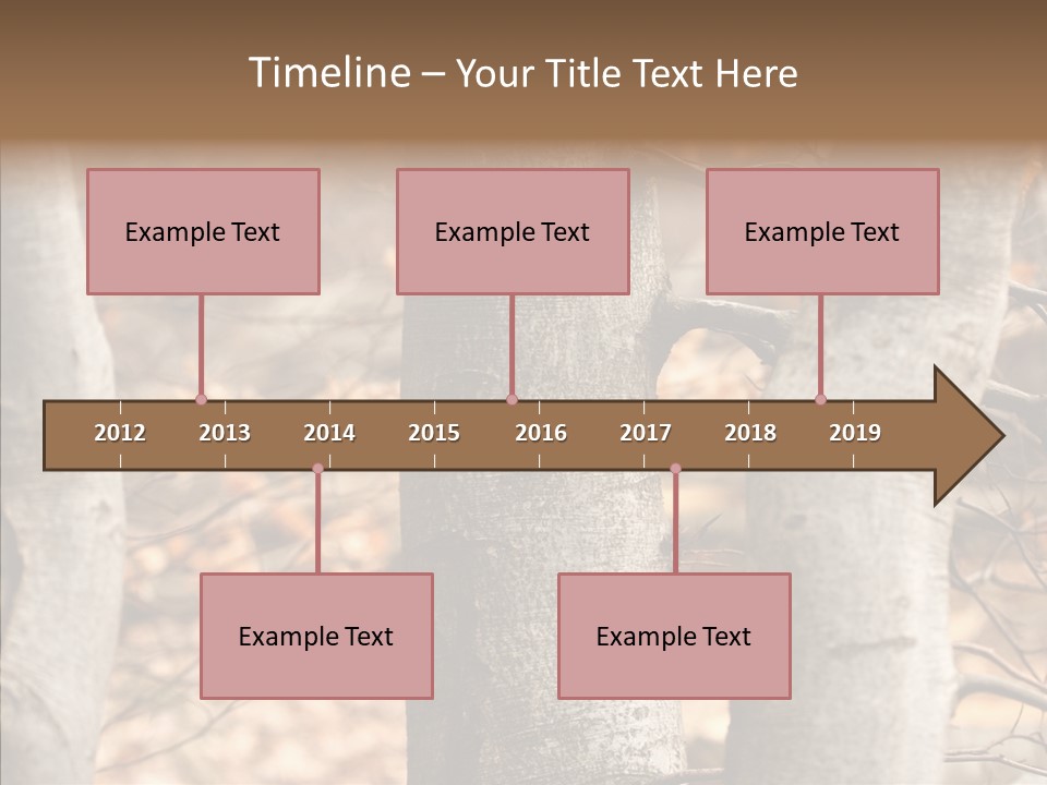 Shape Tree Detail PowerPoint Template