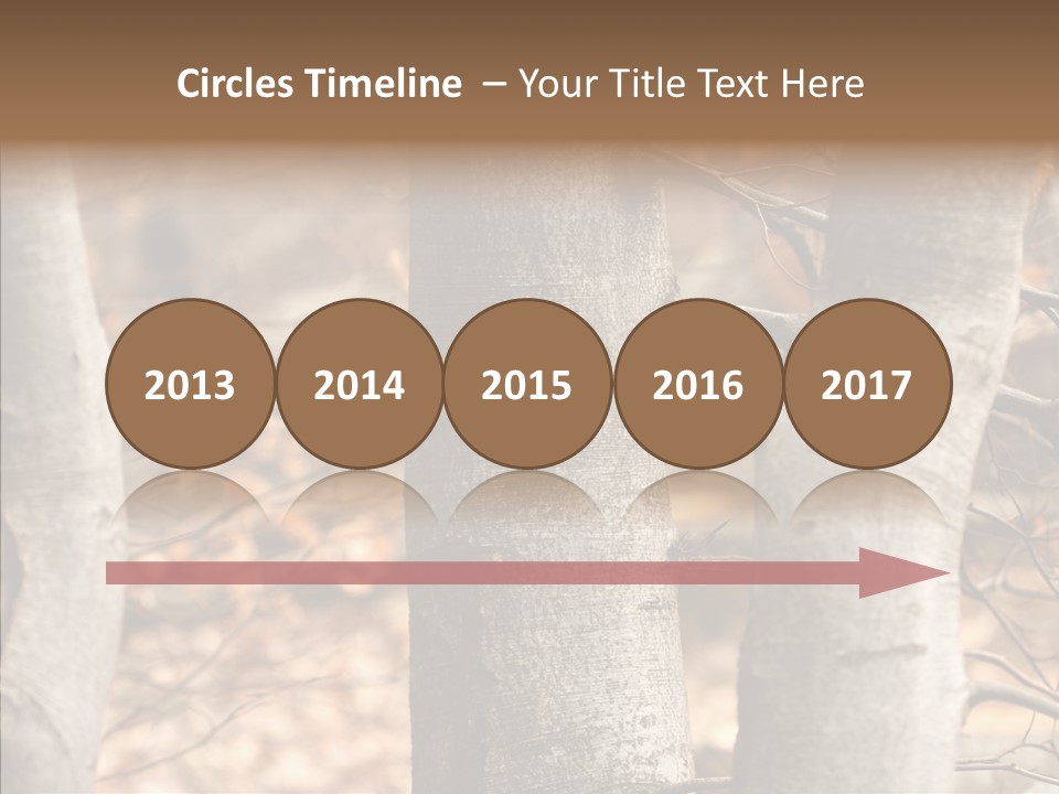 Shape Tree Detail PowerPoint Template