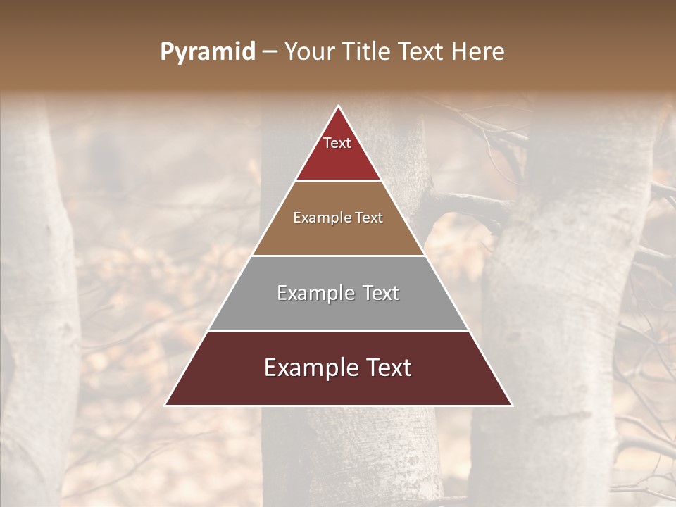 Shape Tree Detail PowerPoint Template
