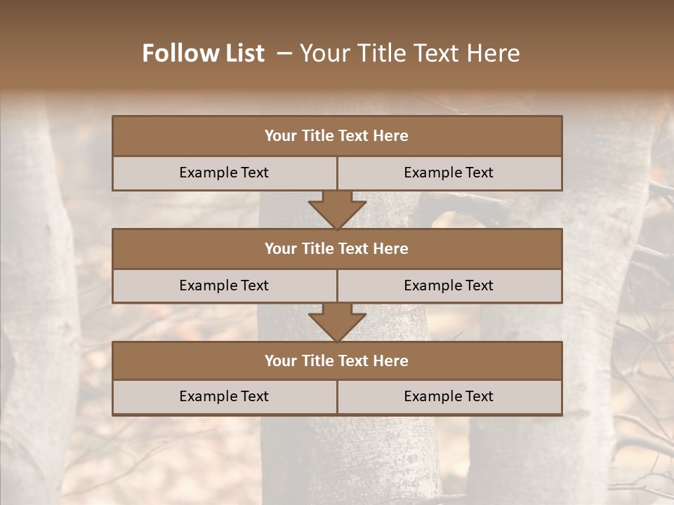 Shape Tree Detail PowerPoint Template