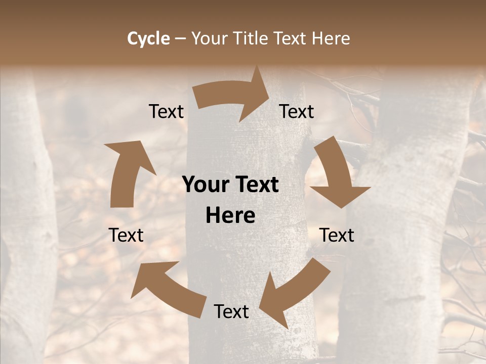 Shape Tree Detail PowerPoint Template