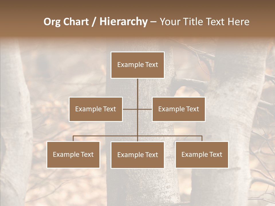 Shape Tree Detail PowerPoint Template