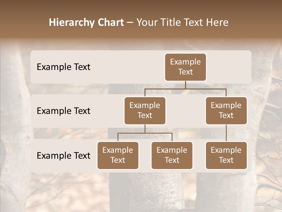 Shape Tree Detail PowerPoint Template