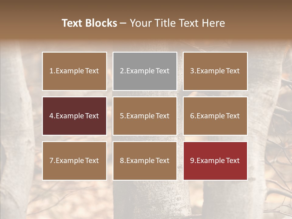 Shape Tree Detail PowerPoint Template
