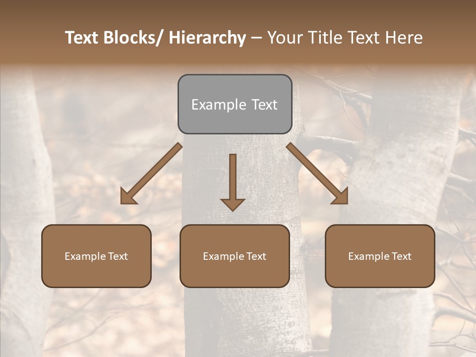 Shape Tree Detail PowerPoint Template