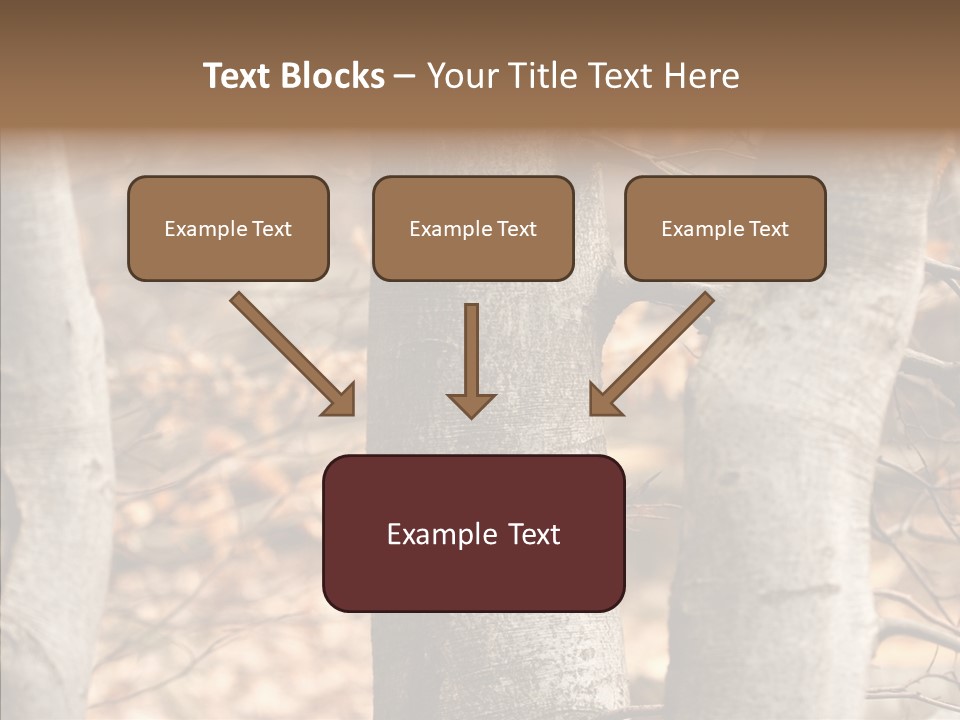 Shape Tree Detail PowerPoint Template