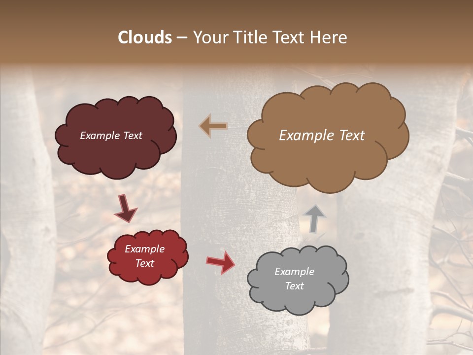 Shape Tree Detail PowerPoint Template