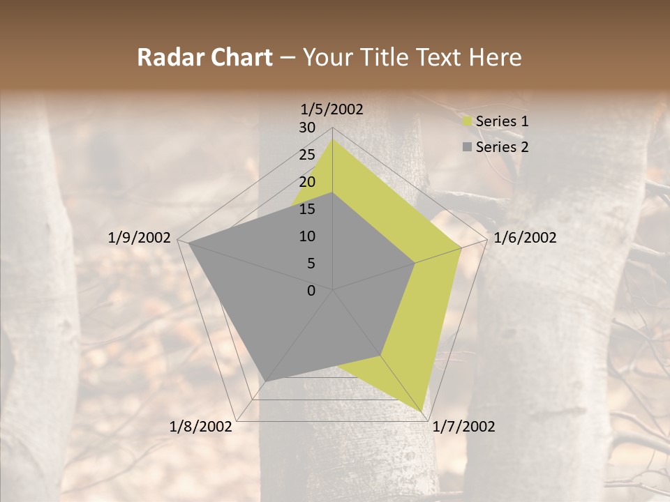 Shape Tree Detail PowerPoint Template