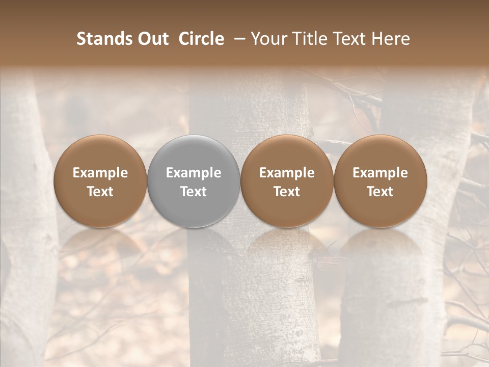Shape Tree Detail PowerPoint Template