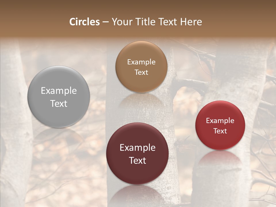 Shape Tree Detail PowerPoint Template