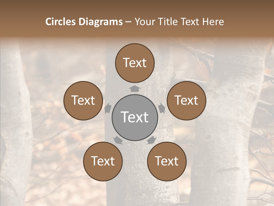 Shape Tree Detail PowerPoint Template