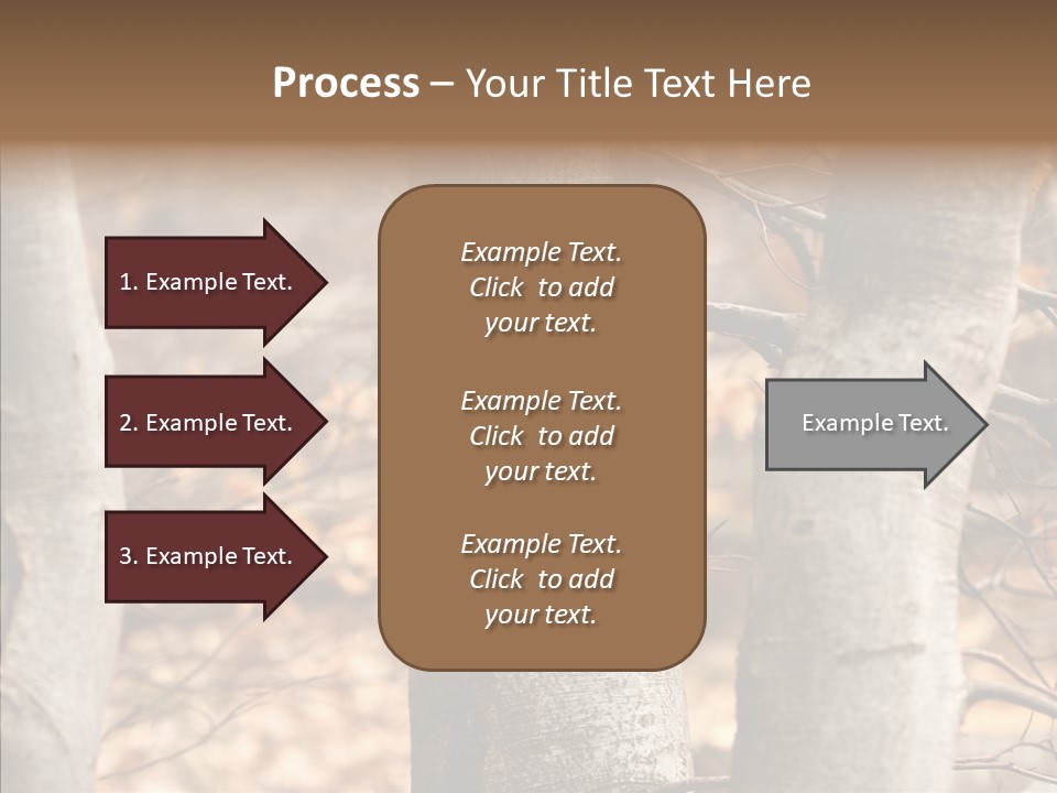 Shape Tree Detail PowerPoint Template