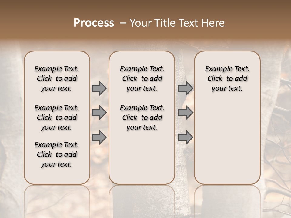 Shape Tree Detail PowerPoint Template