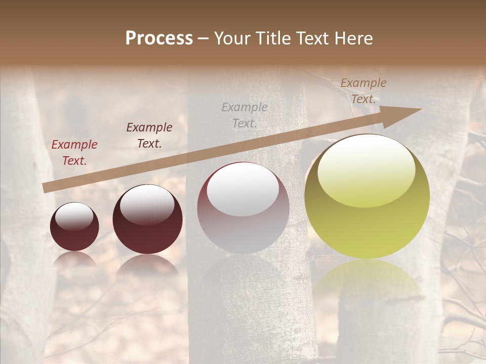 Shape Tree Detail PowerPoint Template