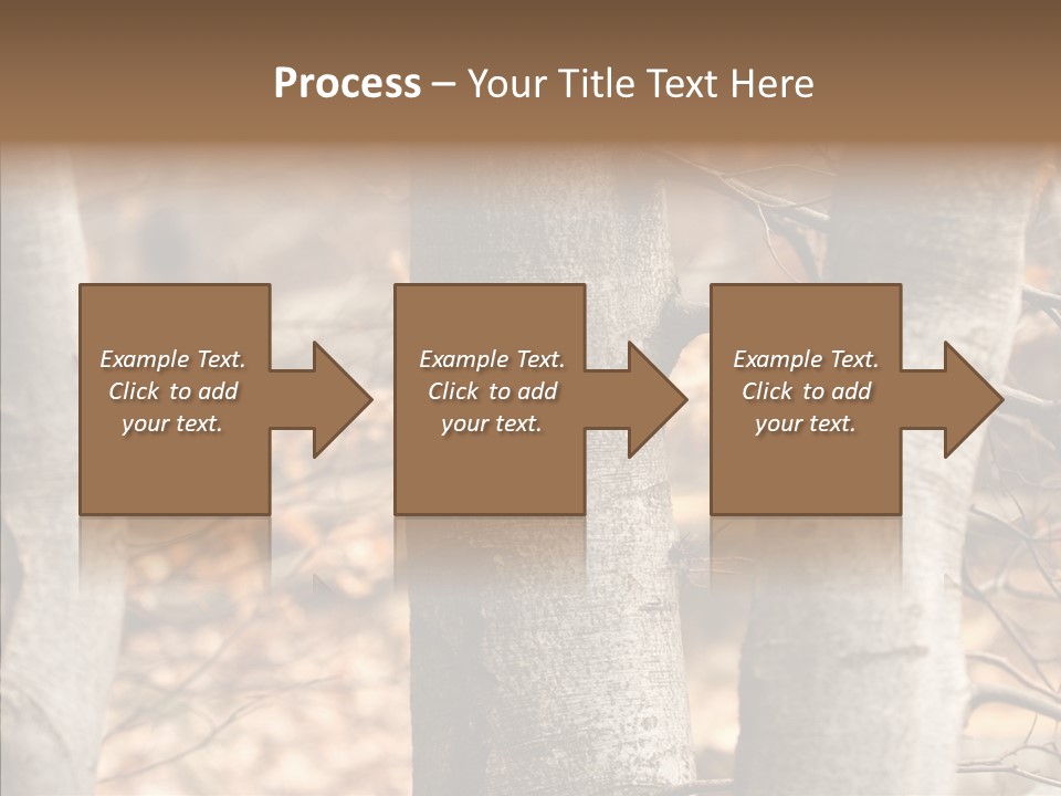 Shape Tree Detail PowerPoint Template