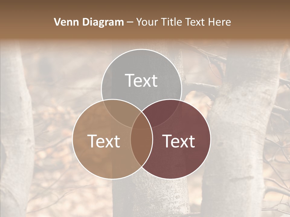 Shape Tree Detail PowerPoint Template
