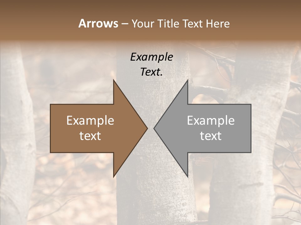 Shape Tree Detail PowerPoint Template