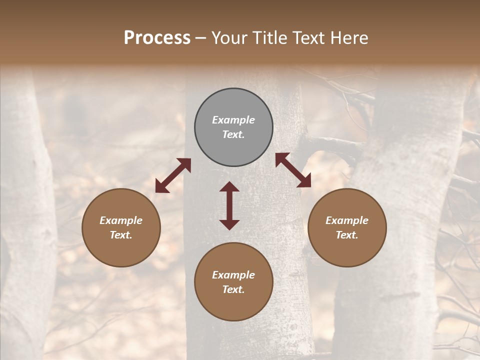 Shape Tree Detail PowerPoint Template