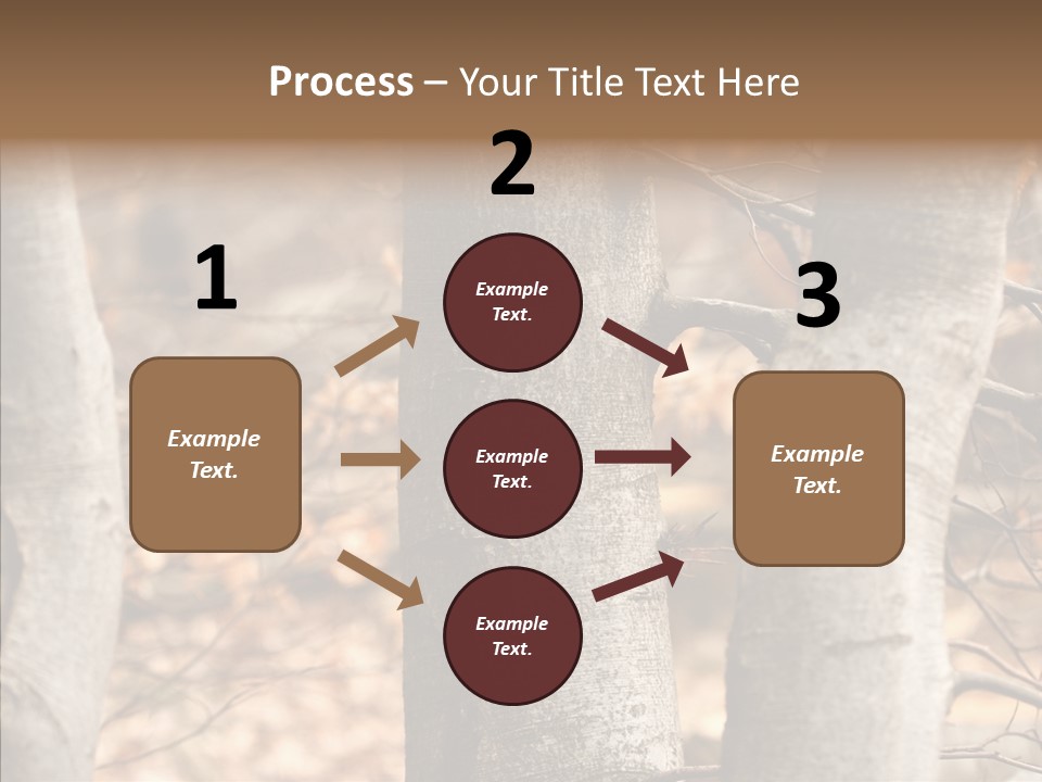 Shape Tree Detail PowerPoint Template