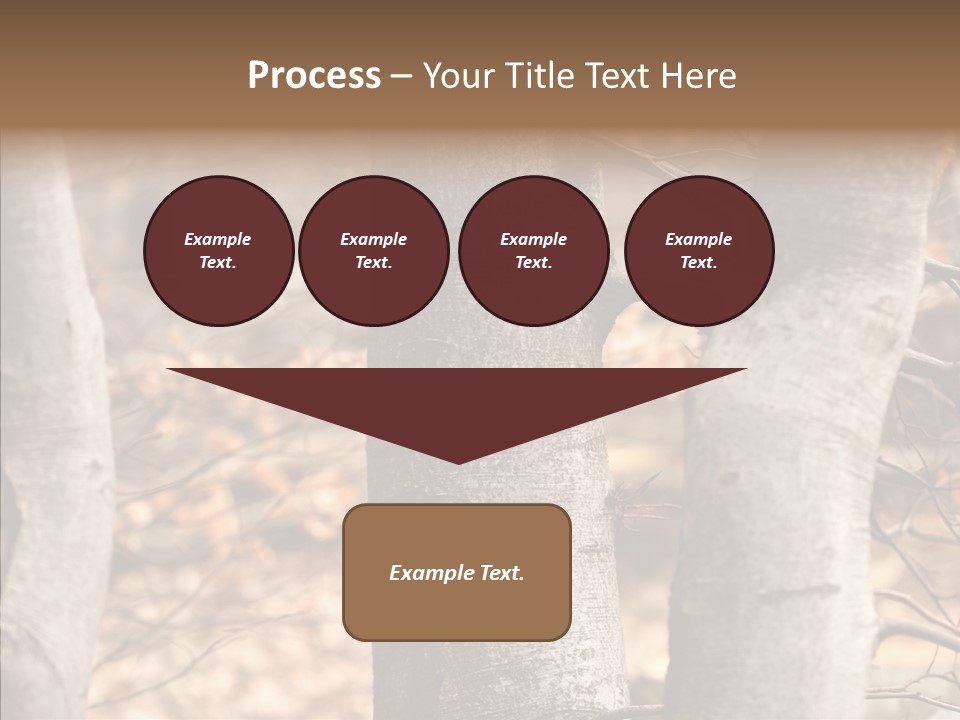 Shape Tree Detail PowerPoint Template