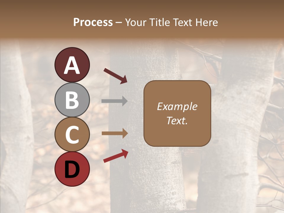 Shape Tree Detail PowerPoint Template