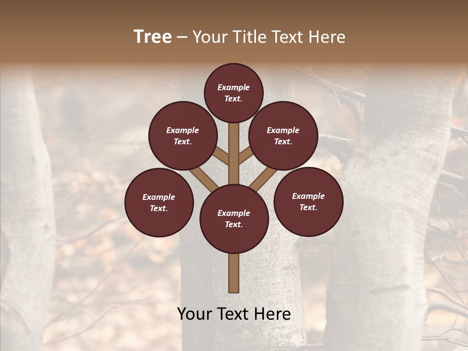 Shape Tree Detail PowerPoint Template